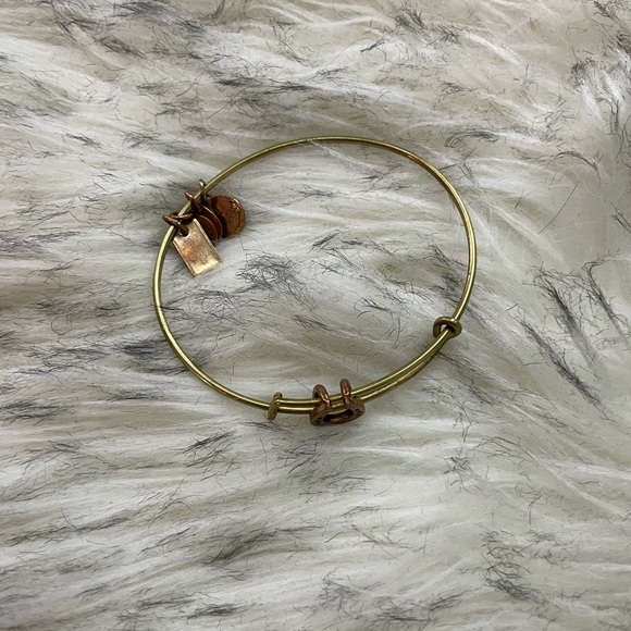 Alex and Ani Bracelet Stack - Picture 13 of 14